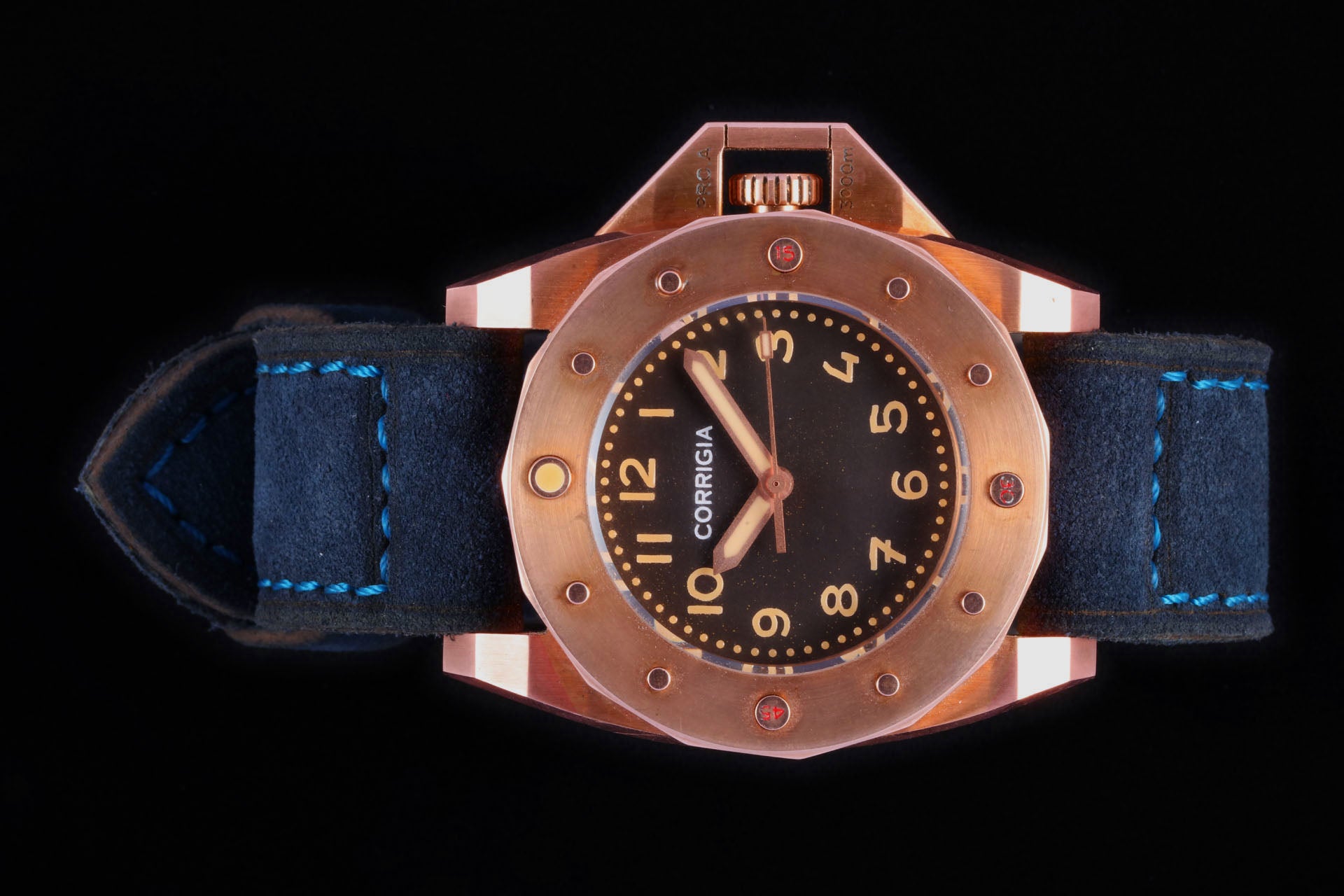 Wildsuede 10 Nightblue