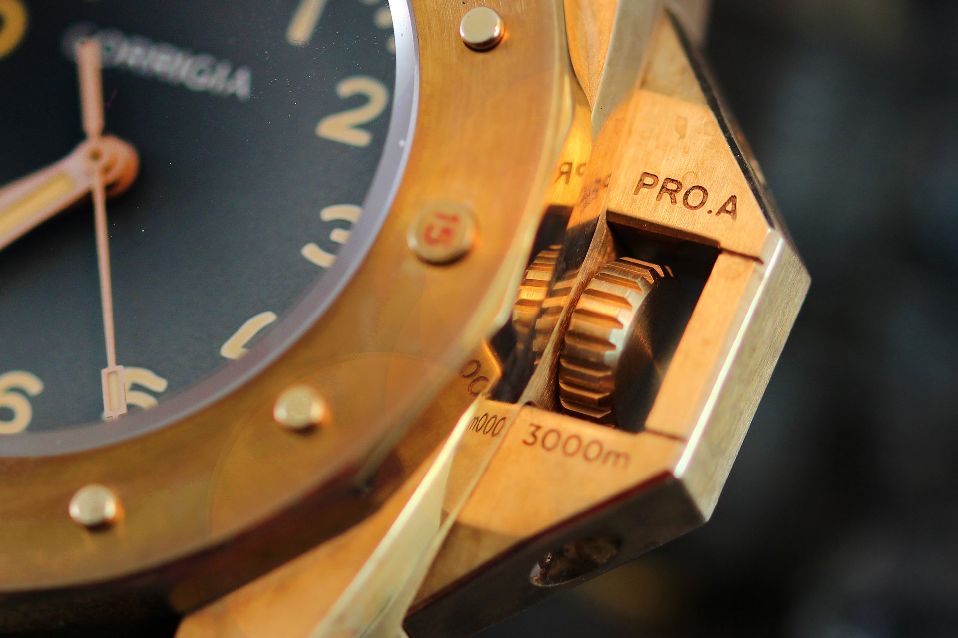 Corrigia01 Bronze P-Gray Ref.610-613-576-577