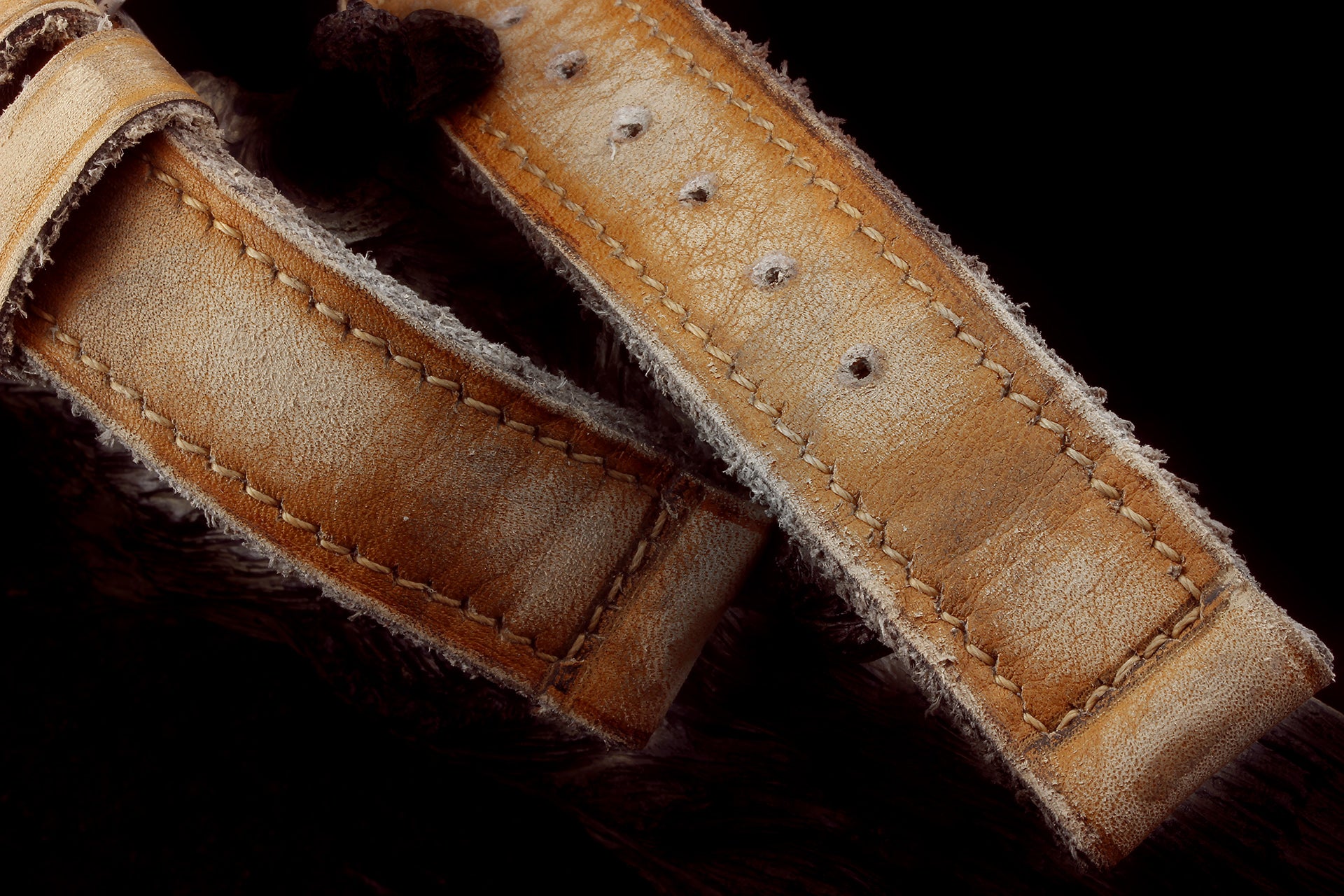 Z01 - GPF 2/56 STRAP