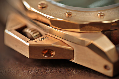 Corrigia01 Bronze S-Black Ref.607-613-576-577