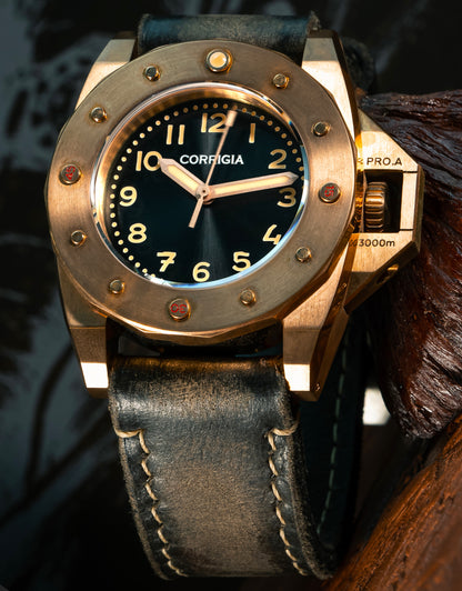 Corrigia01 Bronze S-Black REF.AS.607-613-576-577 Display piece 