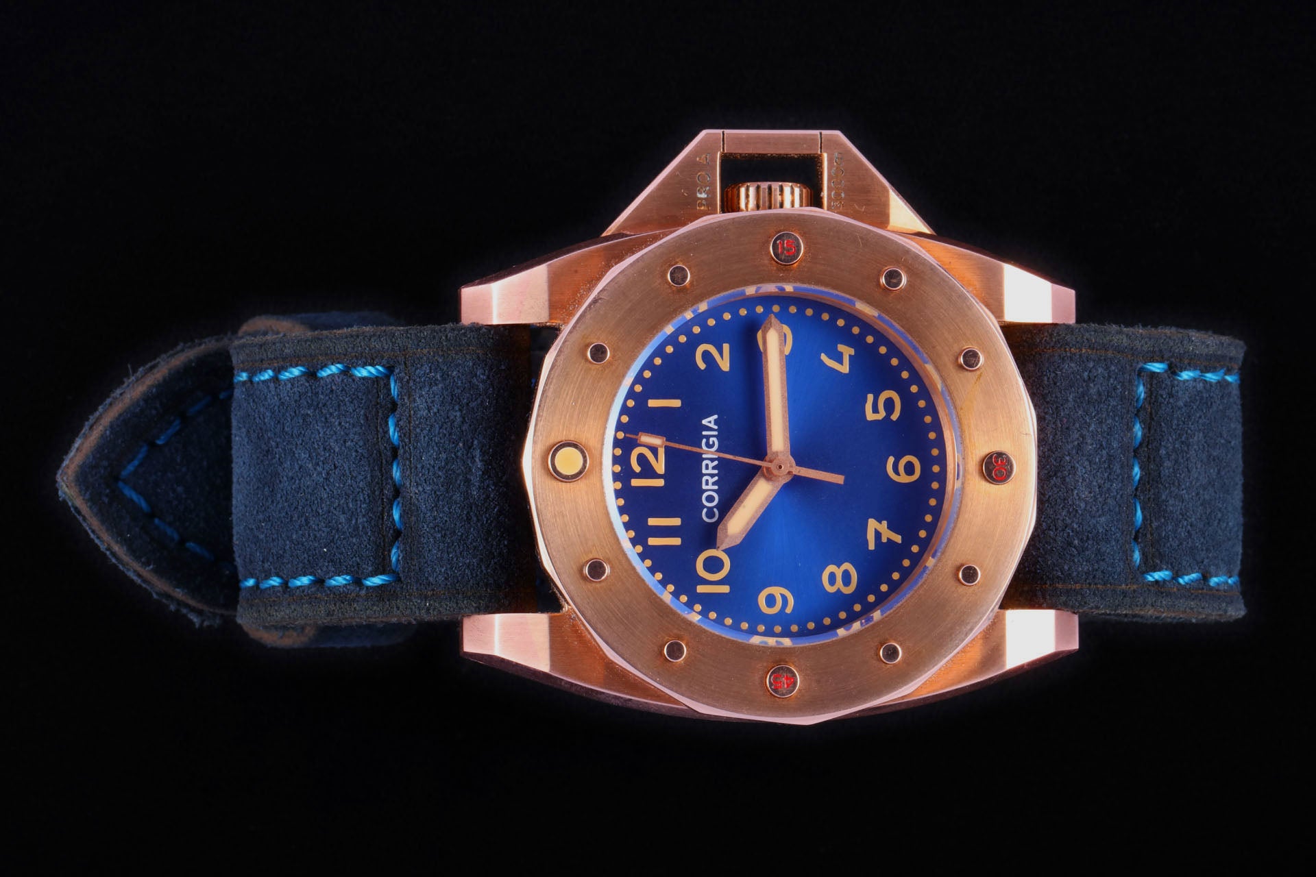 Wildsuede 10 Nightblue 