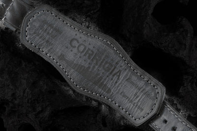 Winkel09 Gray without crown guard