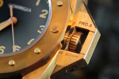 Corrigia01 Bronze P-Gray REF.AS.610-613-576-577 Ausstellungsstück