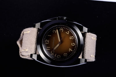 CANVAS 09-SAFARI 