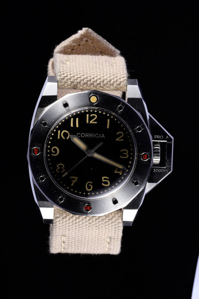 CANVAS 02-BEIGE