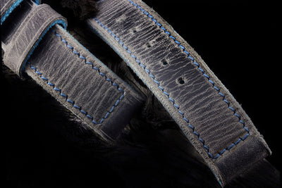 Squadra01 Blue