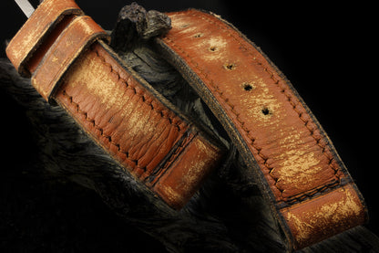 Fletch10 Gambardella 